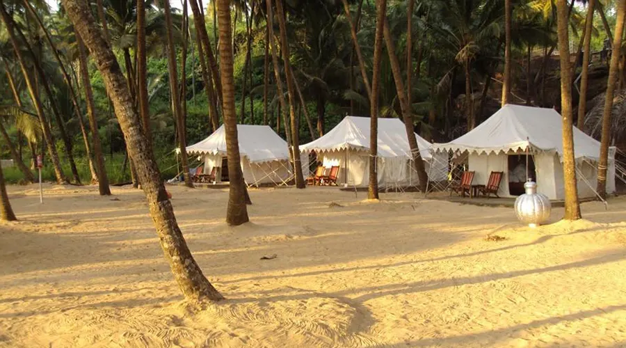 Camping At Cola Beach, Goa